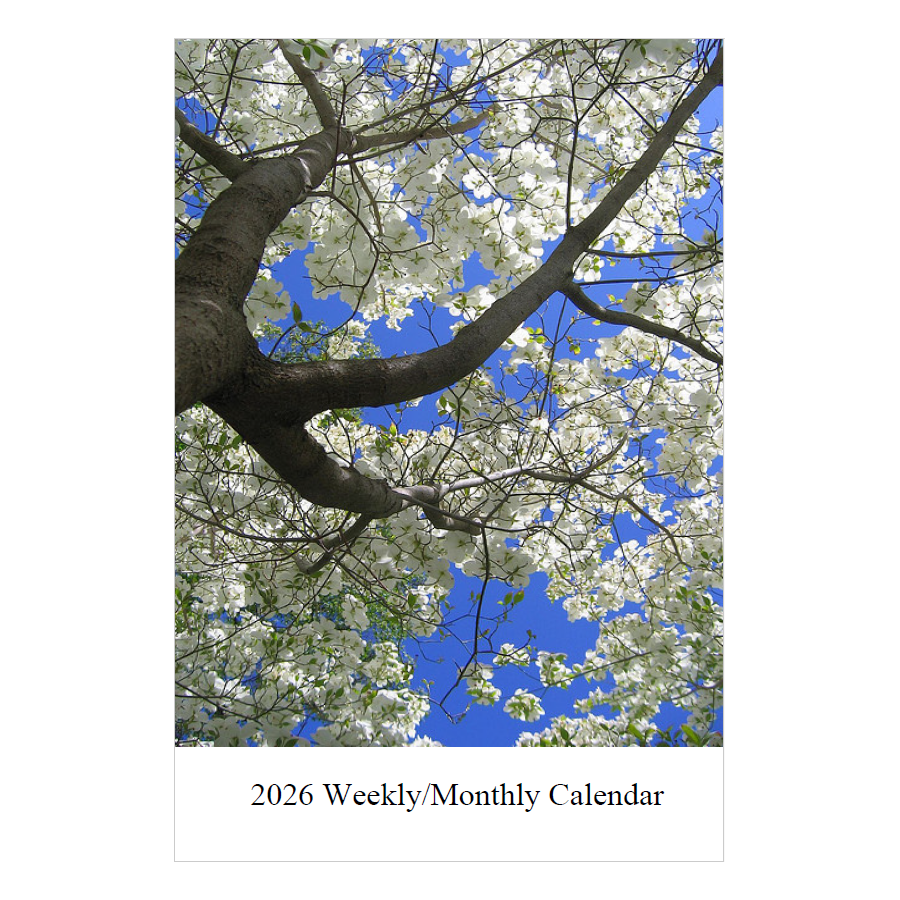 New product - Weekly/Monthly Planner